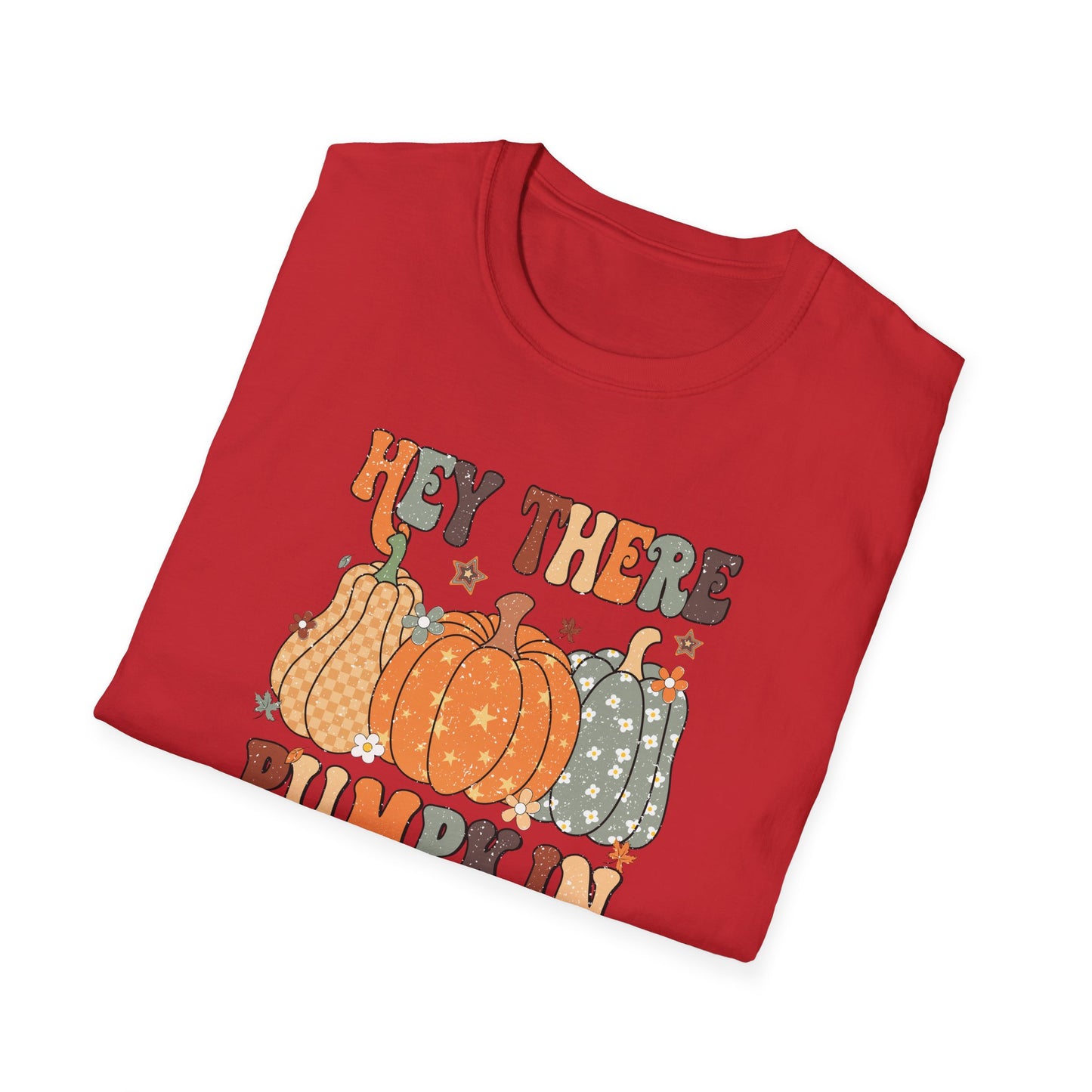 Hey There Pumpkin Fall T-Shirt - Cute Women's Autumn Tee, Thanksgiving Shirt, Pumpkin Thanksgiving Tee, Cozy Fall Tee for Her, Friendsgiving