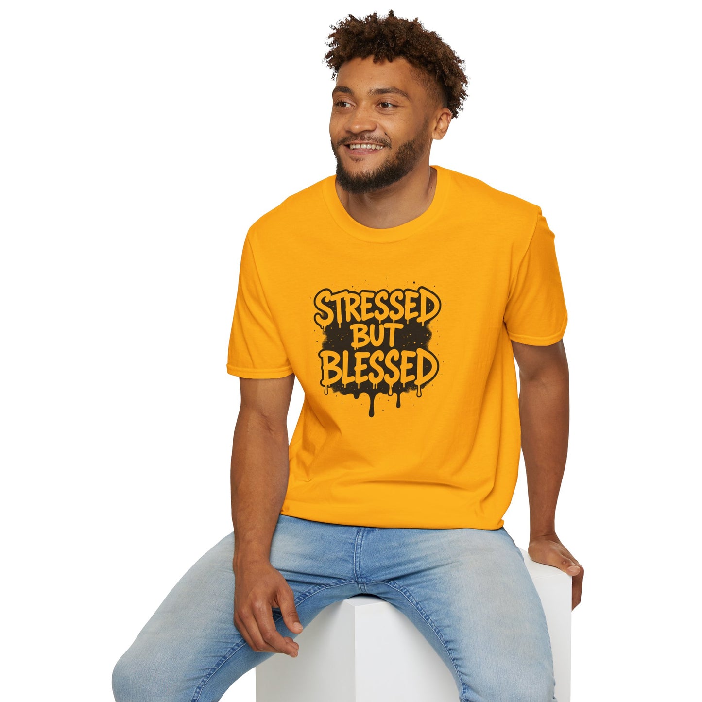 Stressed But Blessed T-Shirt – Inspirational Christian Quote Tee, Faith Graphic Shirt for Everyday Motivation