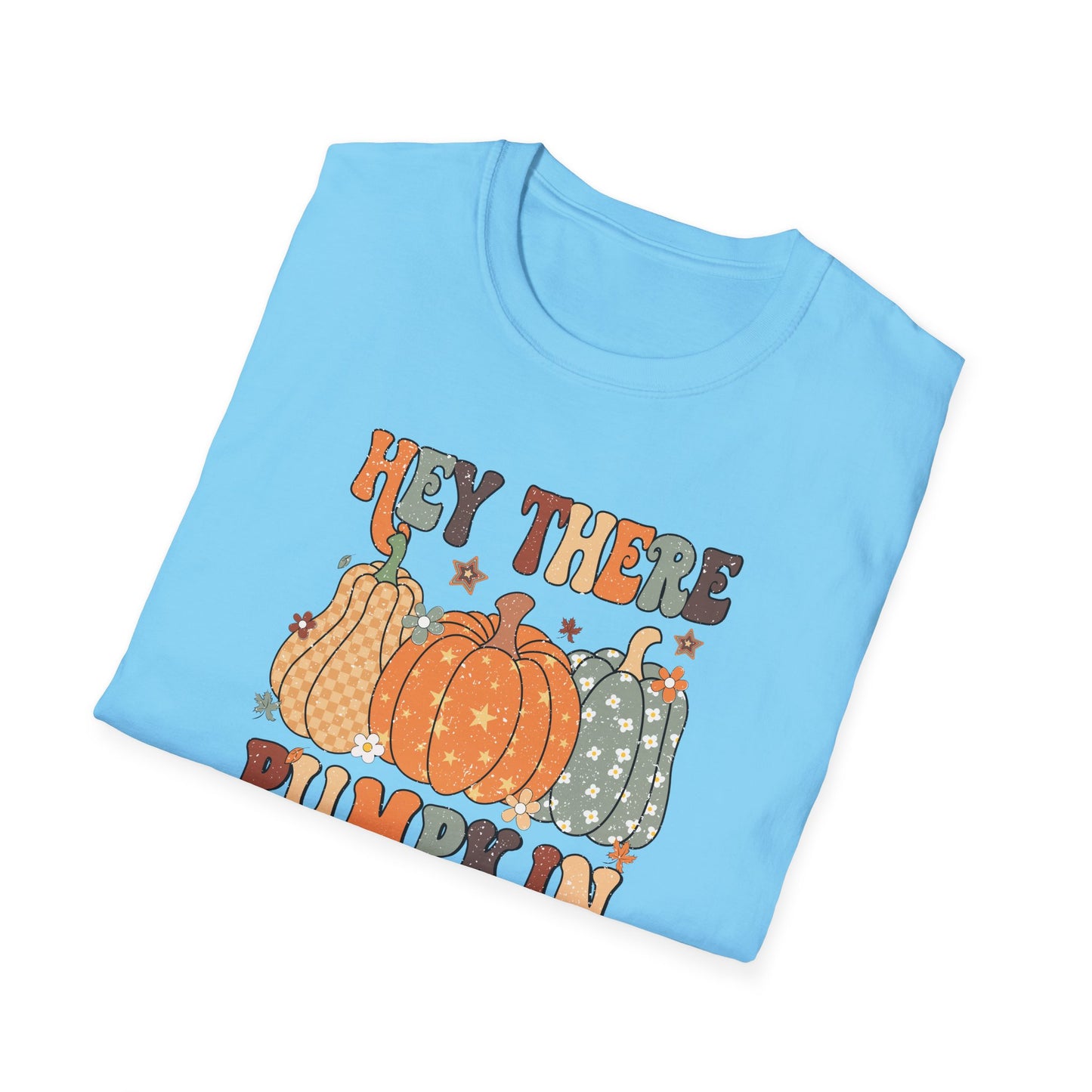 Hey There Pumpkin Fall T-Shirt - Cute Women's Autumn Tee, Thanksgiving Shirt, Pumpkin Thanksgiving Tee, Cozy Fall Tee for Her, Friendsgiving