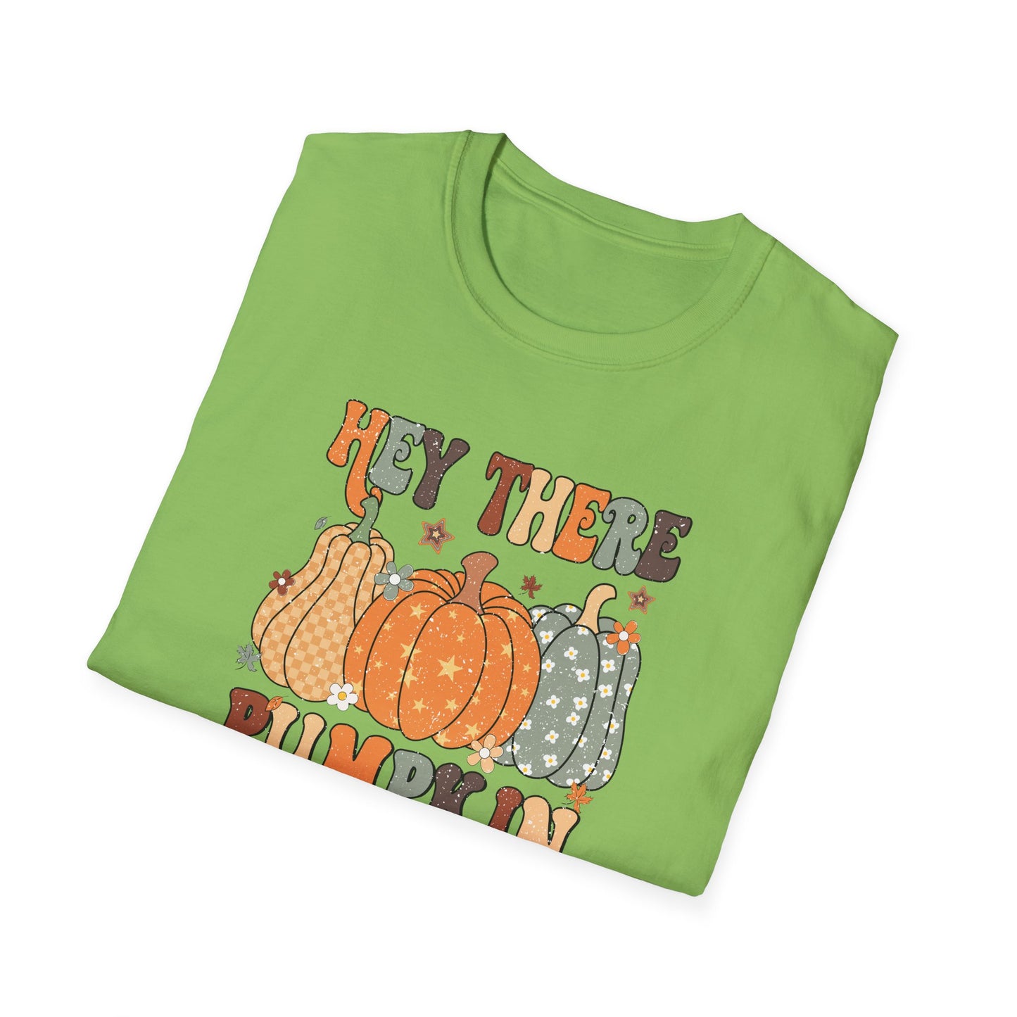 Hey There Pumpkin Fall T-Shirt - Cute Women's Autumn Tee, Thanksgiving Shirt, Pumpkin Thanksgiving Tee, Cozy Fall Tee for Her, Friendsgiving