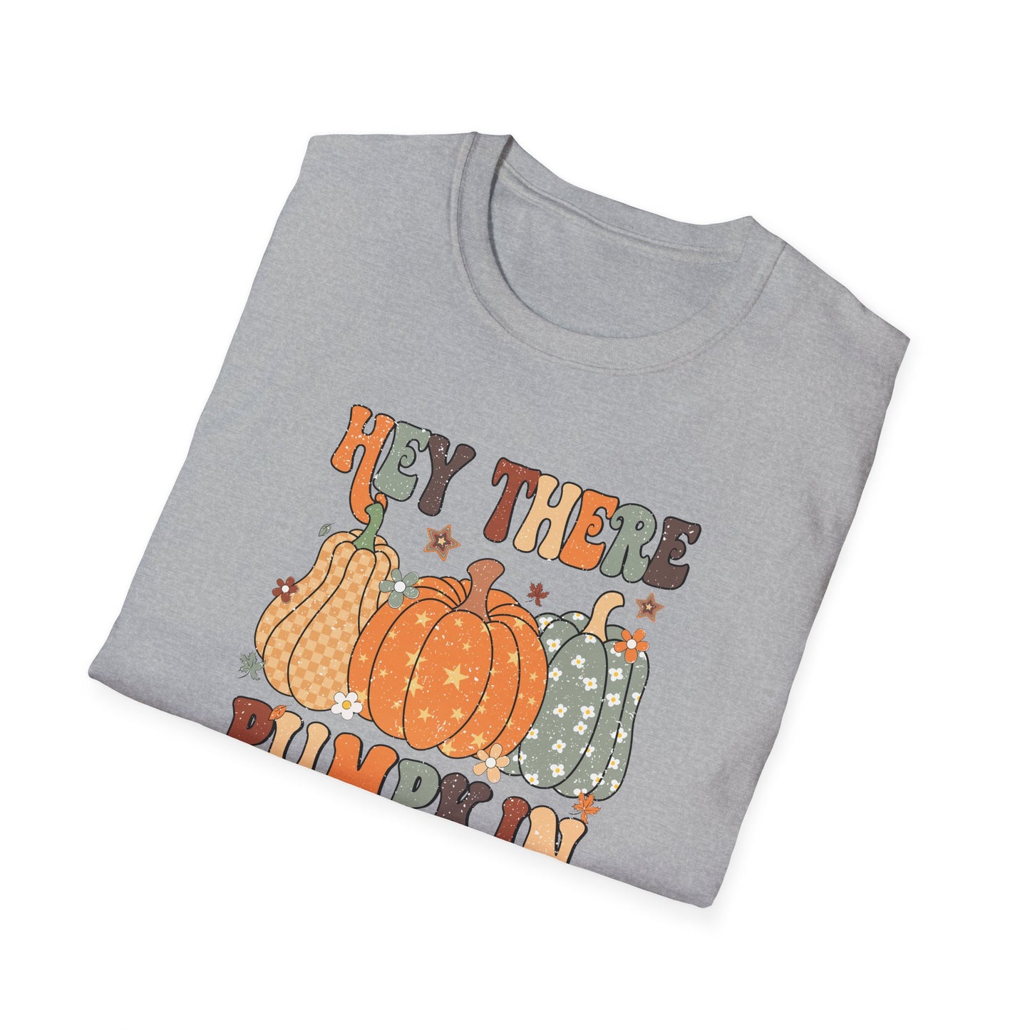 Hey There Pumpkin Fall T-Shirt - Cute Women's Autumn Tee, Thanksgiving Shirt, Pumpkin Thanksgiving Tee, Cozy Fall Tee for Her, Friendsgiving