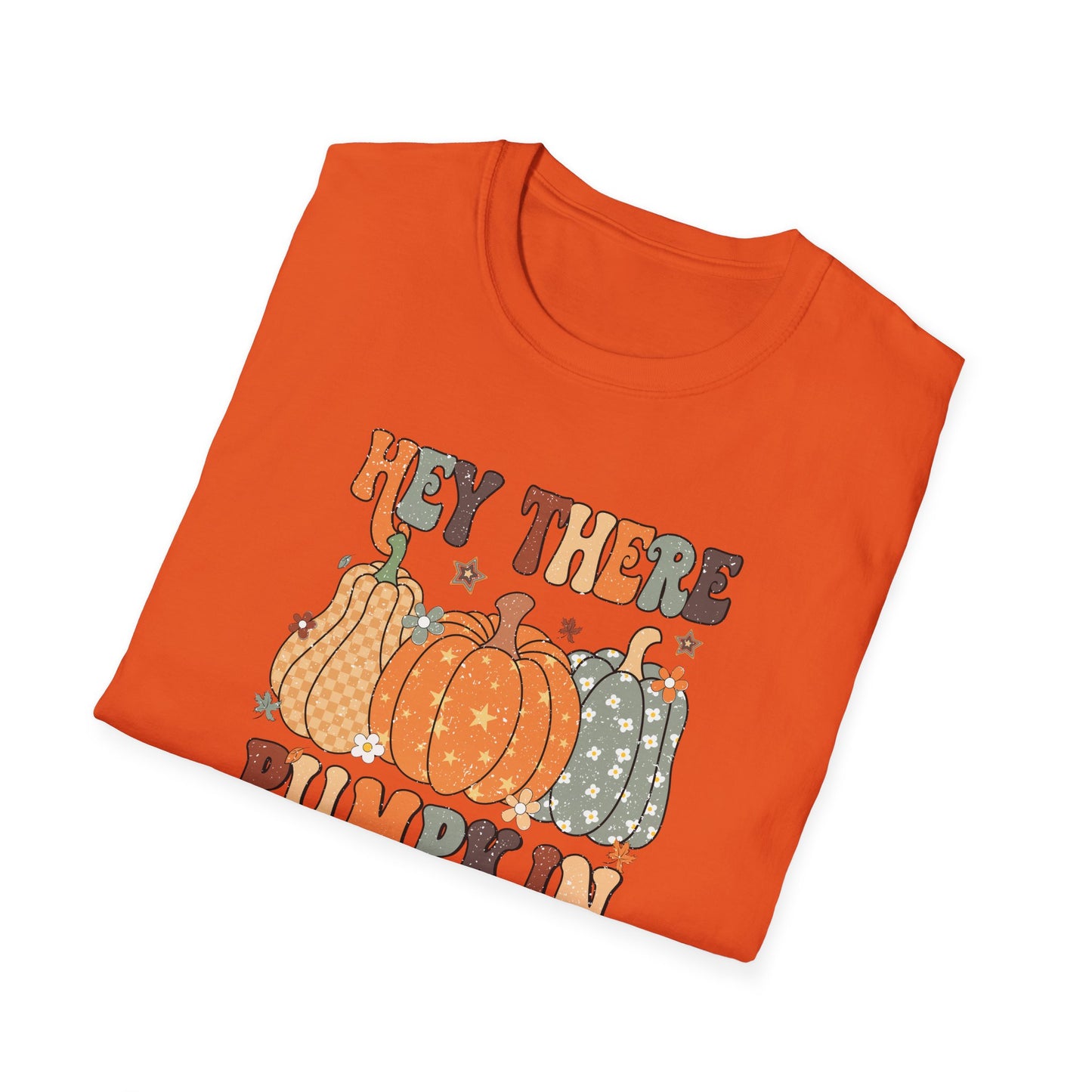 Hey There Pumpkin Fall T-Shirt - Cute Women's Autumn Tee, Thanksgiving Shirt, Pumpkin Thanksgiving Tee, Cozy Fall Tee for Her, Friendsgiving