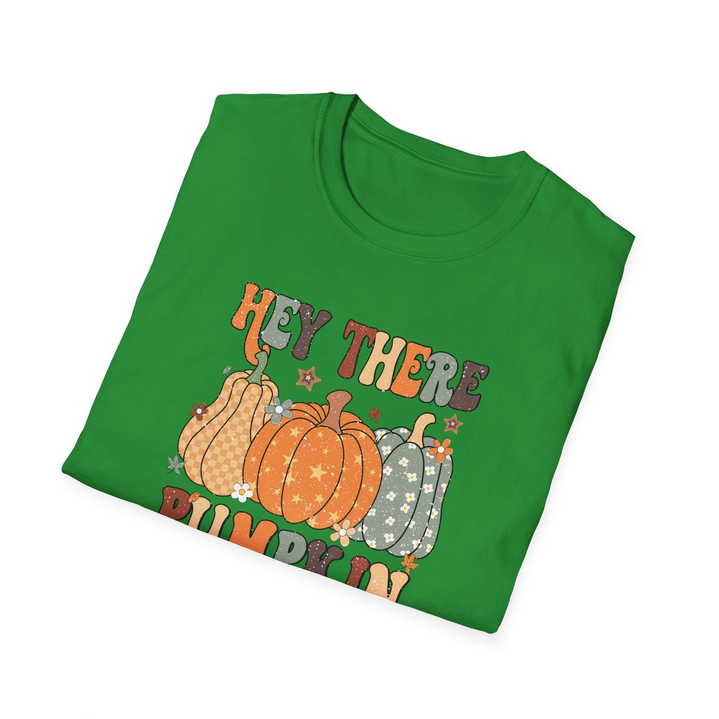Hey There Pumpkin Fall T-Shirt - Cute Women's Autumn Tee, Thanksgiving Shirt, Pumpkin Thanksgiving Tee, Cozy Fall Tee for Her, Friendsgiving