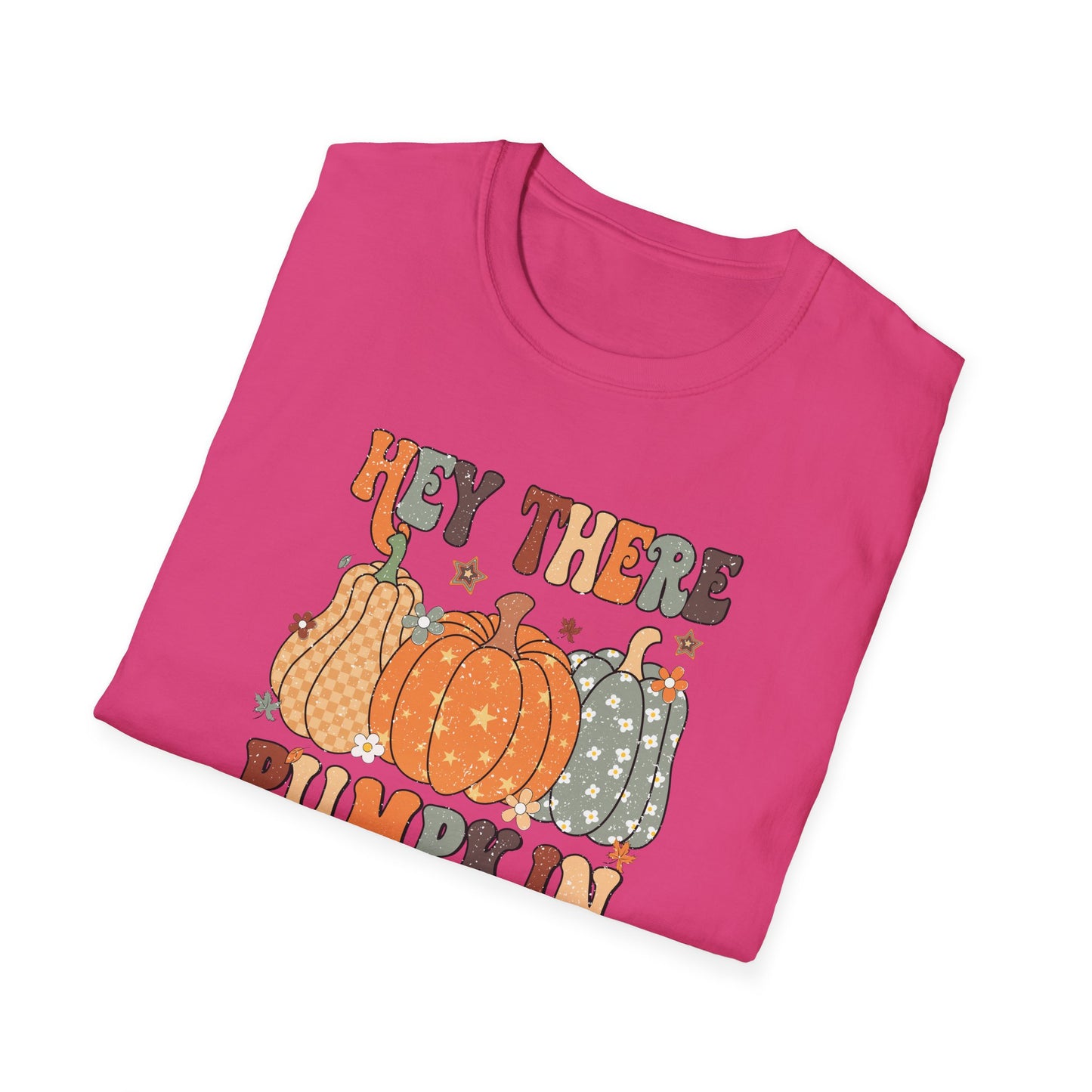 Hey There Pumpkin Fall T-Shirt - Cute Women's Autumn Tee, Thanksgiving Shirt, Pumpkin Thanksgiving Tee, Cozy Fall Tee for Her, Friendsgiving