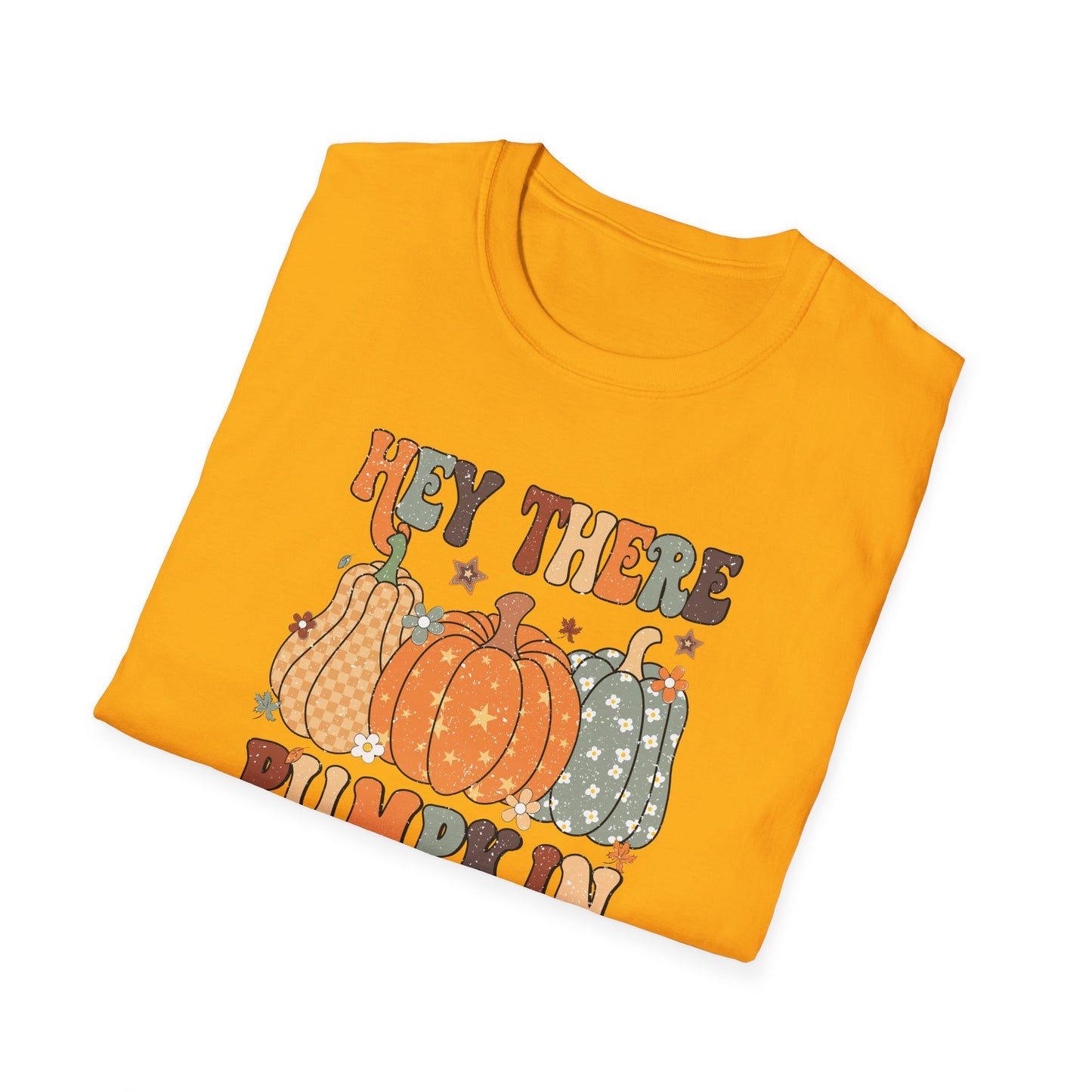 Hey There Pumpkin Fall T-Shirt - Cute Women's Autumn Tee, Thanksgiving Shirt, Pumpkin Thanksgiving Tee, Cozy Fall Tee for Her, Friendsgiving