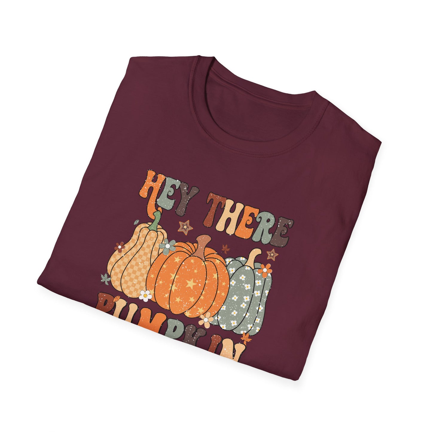 Hey There Pumpkin Fall T-Shirt - Cute Women's Autumn Tee, Thanksgiving Shirt, Pumpkin Thanksgiving Tee, Cozy Fall Tee for Her, Friendsgiving