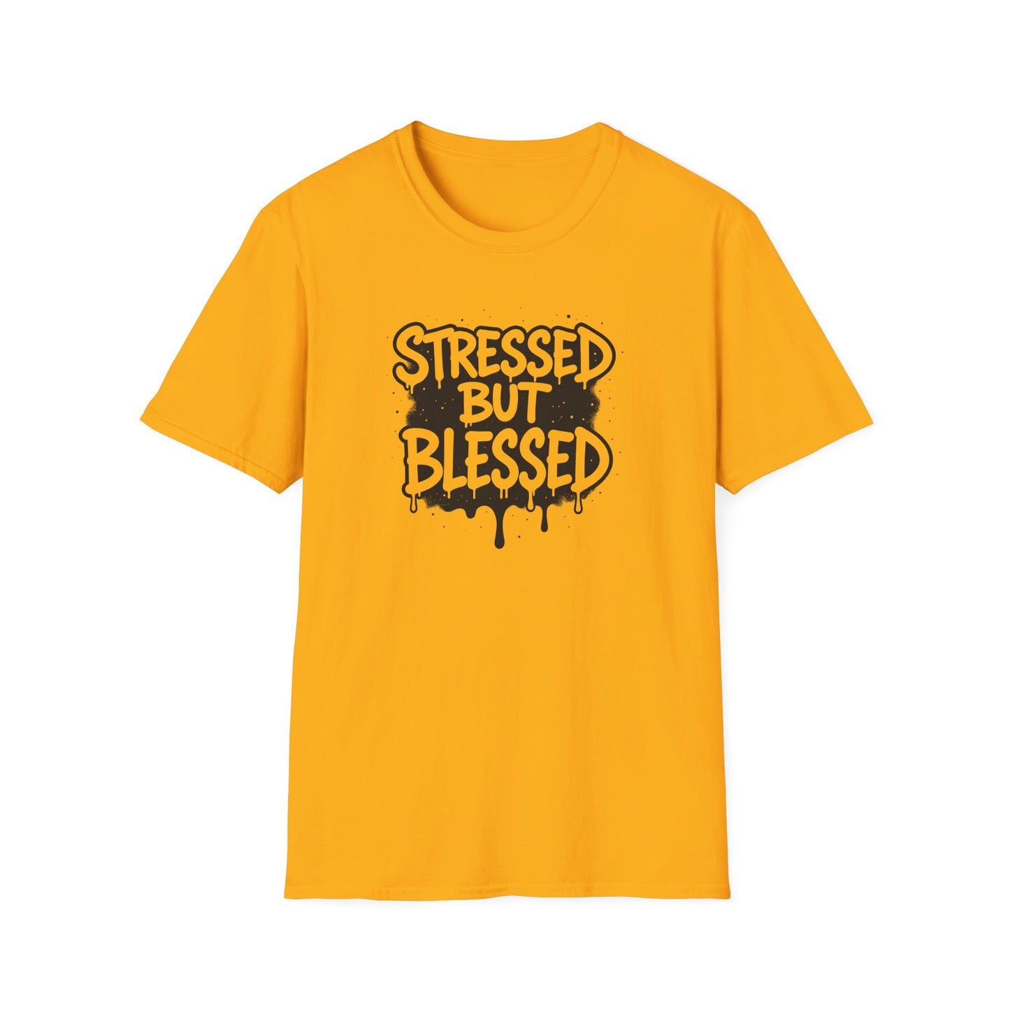 Stressed But Blessed T-Shirt – Inspirational Christian Quote Tee, Faith Graphic Shirt for Everyday Motivation