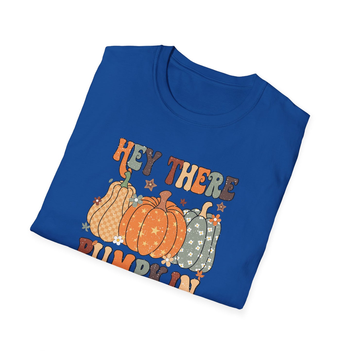 Hey There Pumpkin Fall T-Shirt - Cute Women's Autumn Tee, Thanksgiving Shirt, Pumpkin Thanksgiving Tee, Cozy Fall Tee for Her, Friendsgiving